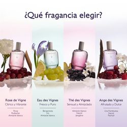 Erfrischender Wasserfluss Eau Des Vignes 50 ml