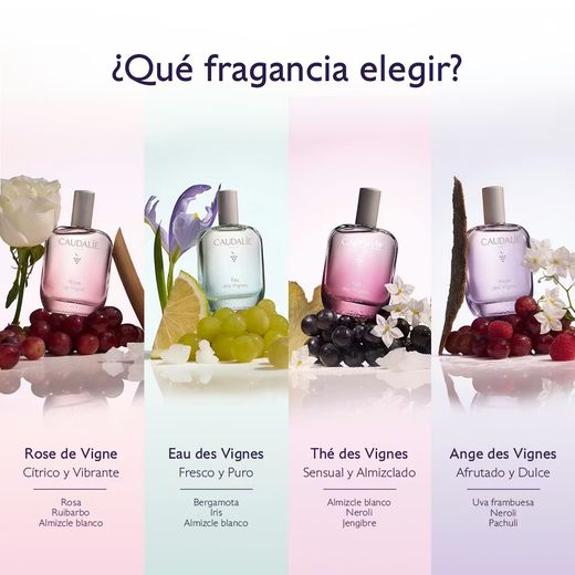 Erfrischender Wasserfluss Eau Des Vignes 50 ml