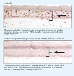 Ist Clinical Extreme Protect Spf 30 100 G