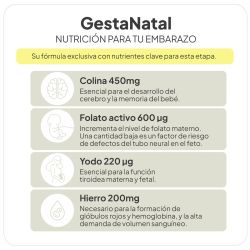 IVB Gesta Natal 60 cápsulas (1 mes)