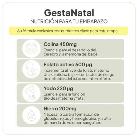 IVB Gesta Natal 60 cápsulas (1 mes)