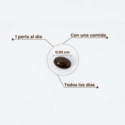 Kobho Astaxantina + CoQ10 60 capsulas