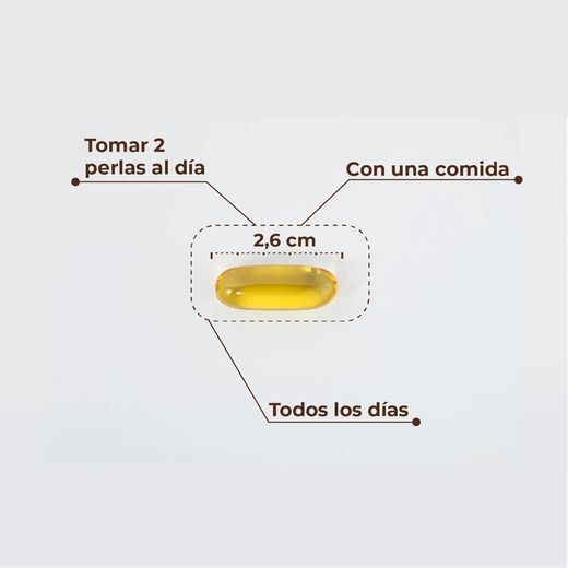 Kobho Omega 3 60 Kapseln
