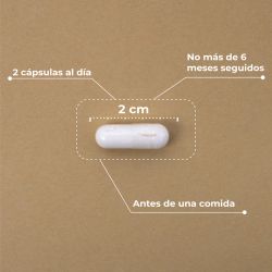 Kobho Pre-Post Probiótico 60 capsulas