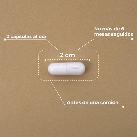 Kobho Pre-Post Probiótico 60 capsulas