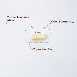 Kobho Trans Resveratrol + Quercetina 60 capsulas