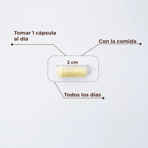 Kobho Trans Resveratrol + Quercetina 60 capsulas