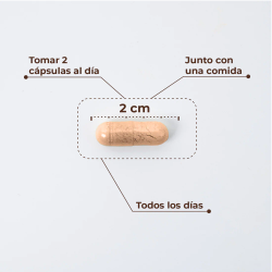 Kobho W-Balance 60 capsulas