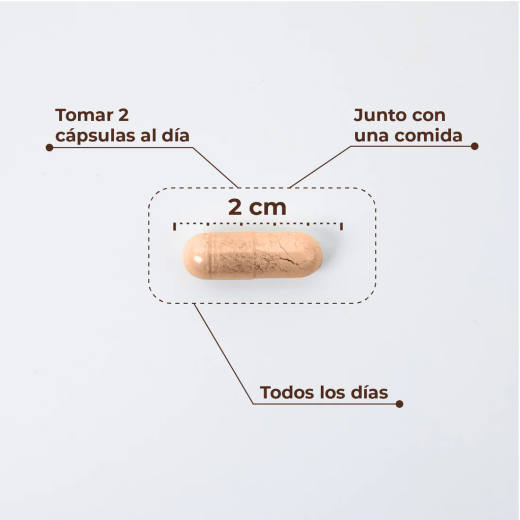 Kobho W-Balance 60 capsulas
